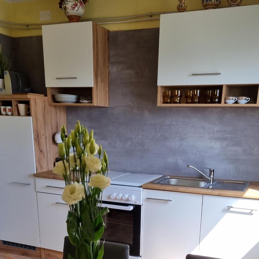 Apartma Tanja -Kamnik Εξωτερικό φωτογραφία