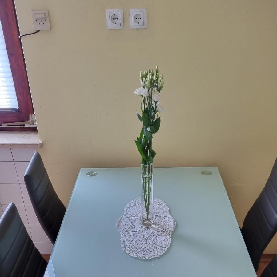 Apartma Tanja -Kamnik Εξωτερικό φωτογραφία